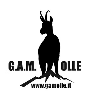 Gam Olle