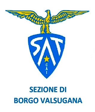 Sat immagine